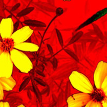 免费ddos压力测试平台